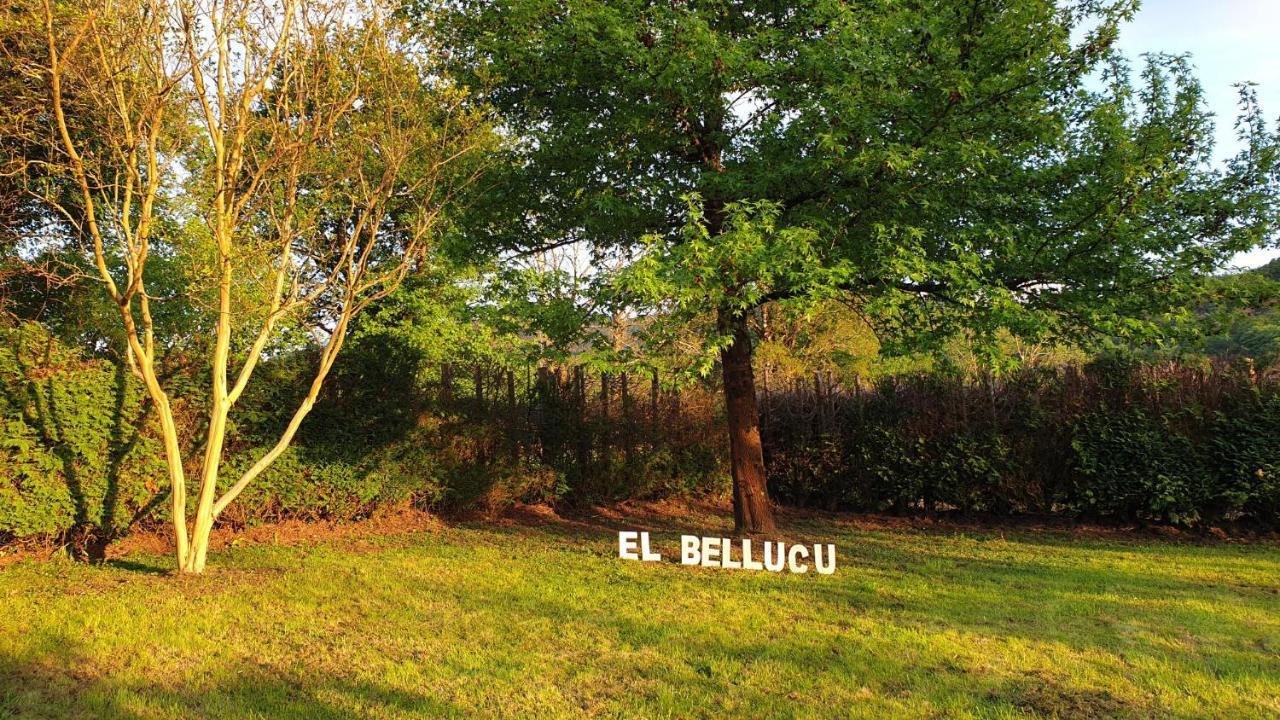 Casa Rural El Bellucu Cangas de Onis Bagian luar foto